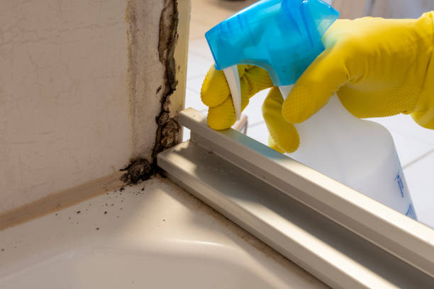 Best Commercial Mold Inspection  in Goshen, AR